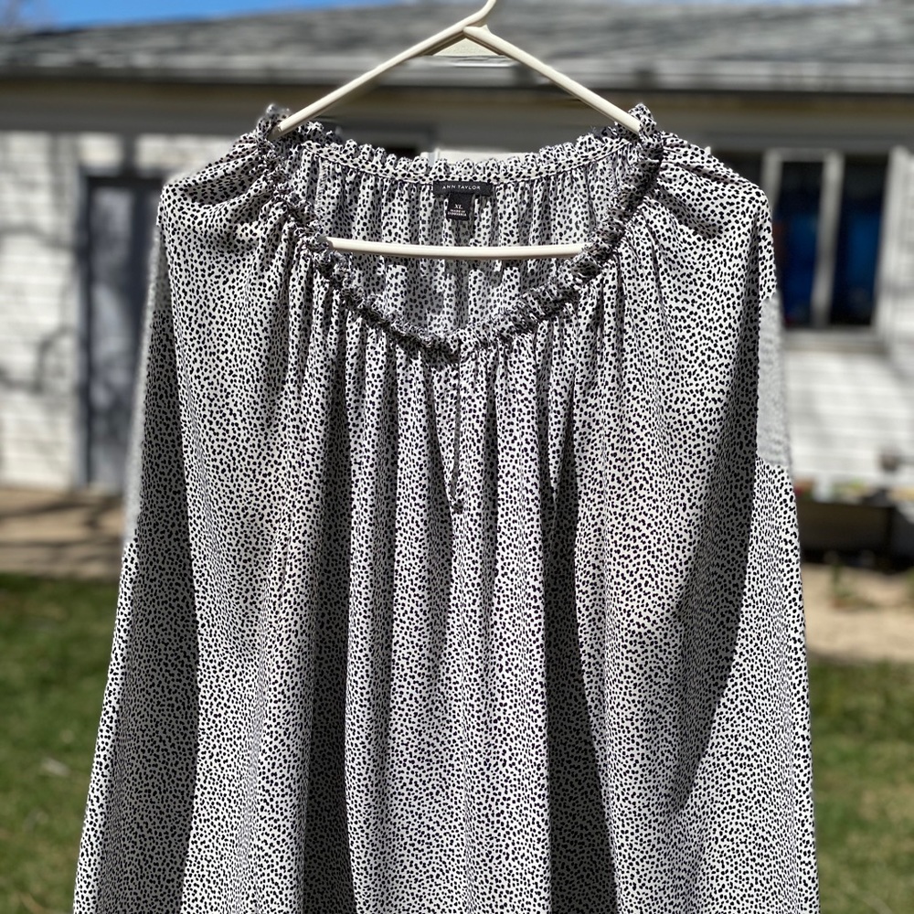 Ann Taylor XL sheer long sleeved blouse